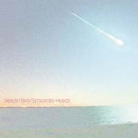 Sleepin' Bird/Schroeder-Headz