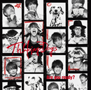 Are you ready?/Thinking Dogs