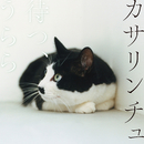 待つ、うらら/カサリンチュ