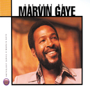 Anthology: The Best Of Marvin Gaye/Marvin Gaye
