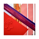 Tetsuo & Youth/Lupe Fiasco