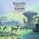 Topographic Drama: Live Across America/イエス