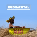 Toast to our Differences (feat. Shungudzo, Protoje & Hak Baker)/Rudimental