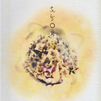 花鳥 月 Nainaiboys 音楽ダウンロード 音楽配信サイト Mora Walkman 公式ミュージックストア