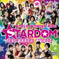 スターダム オフィシャルDVDコレクション STARDOM スターダム オフィシャルDVDコレクション STARDOM