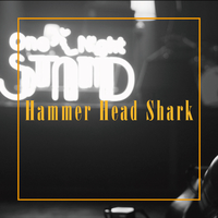 Hammer Head Shark～One Night STAND Live～／One Night STAND