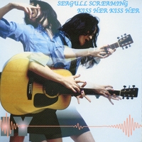 FLY／SEAGULL SCREAMING KISS HER KISS HER｜音楽ダウンロード・音楽