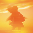 PHOENIX/BURNOUT SYNDROMES