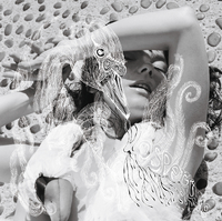 BJORK/VESPERTINE(589