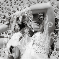 Vespertine／Bjork