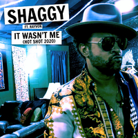 It Wasn't Me (Hot Shot 2020) (feat. Rayvon)／Shaggy｜音楽