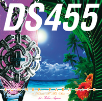 ヒップホップ+ラップ DS455 / Risin' To Tha Sun SUMMER PARADISE～Risin' To Tha Sun～feat．青山テルマ (US