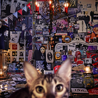 BUCK-TICK CATALOGUE 1987-2016 (初回限定盤A) CATALOGUE 1987-2016／BUCK-TICK｜音楽ダウンロード・音楽配信サイト