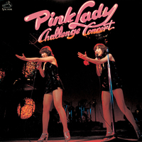 チャレンジ・コンサート(Live at 郵便貯金ホール 1977/3/31)／ピンク