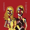 Sung Tongs/Animal Collective