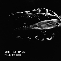 NUCLEAR, DAMN／THA BLUE HERB｜音楽ダウンロード・音楽配信サイト