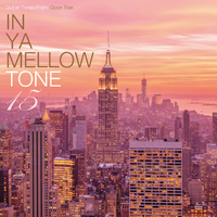 IN YA MELLOW TONE GOON TRAX 15／Various Artists｜音楽ダウンロード