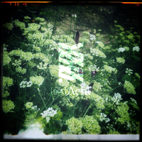 PATIPATI／(not)Acht