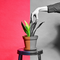 夏の翌日／BYOKA