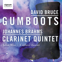 David Bruce: Gumboots