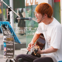 死んで花実が咲くものか 知念 蓮 音楽ダウンロード 音楽配信サイト Mora Walkman 公式ミュージックストア