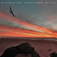 grooveman Spot & Mahina Apple – My Turn My Turn／grooveman Spot & Mahina Apple｜音楽ダウンロード・音楽配信