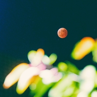 シャイトープ｜音楽ダウンロード・音楽配信サイト mora ～WALKMAN®公式