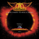 I Don't Want To Miss A Thing/Aerosmith