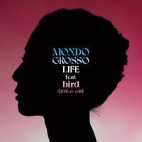 Mondo Grosso Bird 12インチレコード4枚セット LIFE【2024 re-edit】 (feat.bird)／MONDO GROSSO｜音楽ダウンロード