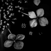 彷徨い Hiderina 音楽ダウンロード 音楽配信サイト Mora Walkman 公式ミュージックストア