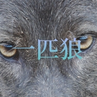 一匹狼/SPST|音楽ダウンロード・音楽配信サイト mora ~“WALKMAN”公式ミュージックストア~