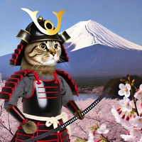 猫侍 猫侍I／Cat Music Band｜音楽ダウンロード・音楽配信サイト mora